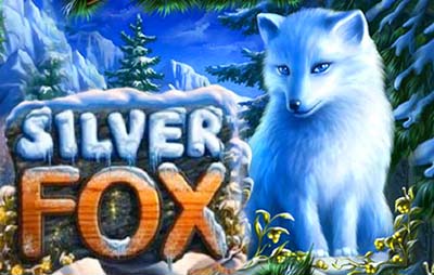 Silver Fox